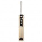 GM Icon 101 Kashmir Willow Cricket Bat